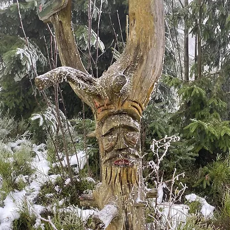 Marius In Schnett *