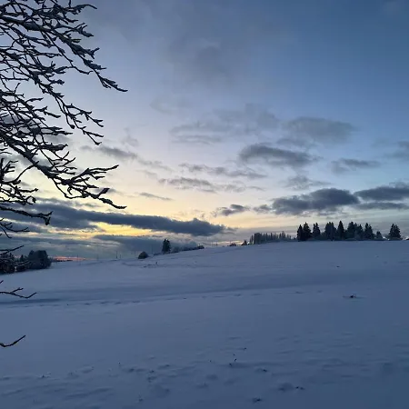 Marius In Schnett Masserberg