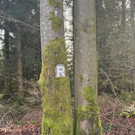 Vakantiehuis Marius In Schnett *